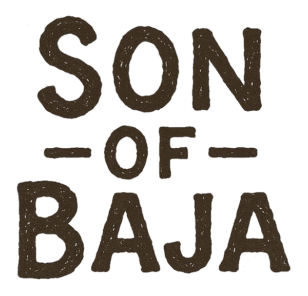 Son of Baja Sandals